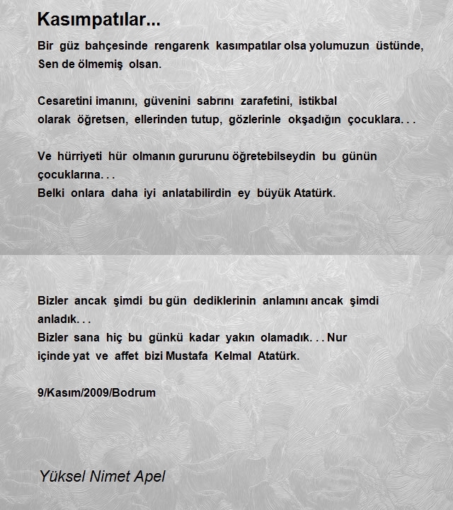 Yüksel Nimet Apel