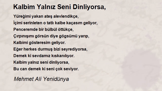 Mehmet Ali Yenidünya