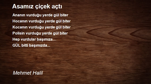 Mehmet Halil