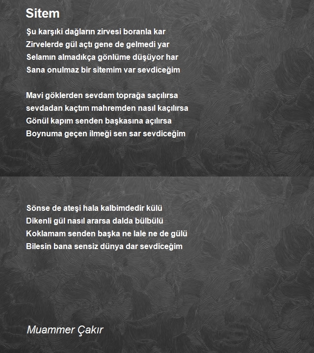 Muammer Çakır