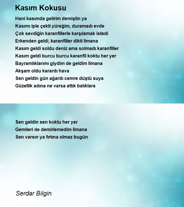 Serdar Bilgin