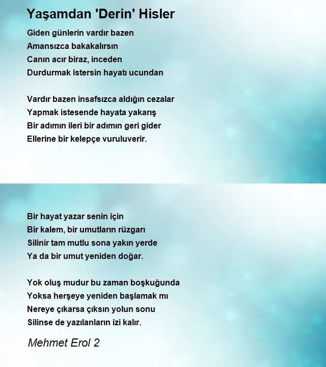 Mehmet Erol 2