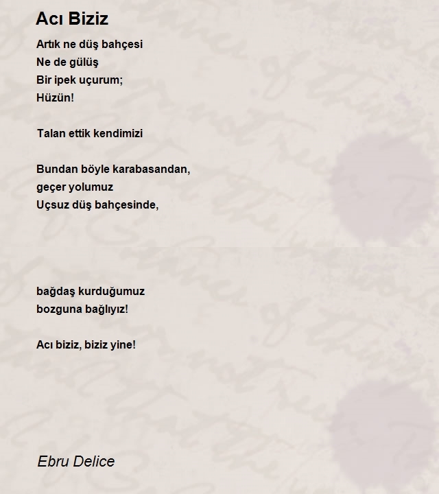 Ebru Delice