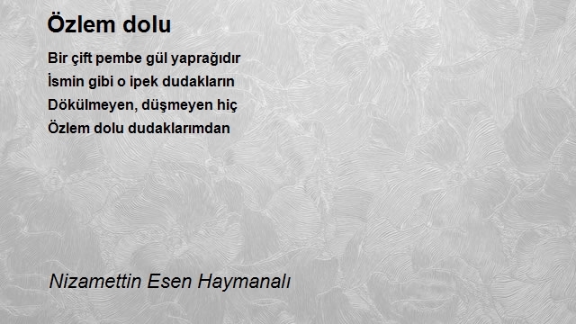 Nizamettin Esen Haymanalı