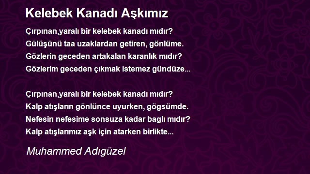 Muhammed Adıgüzel