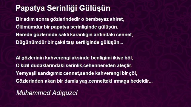 Muhammed Adıgüzel