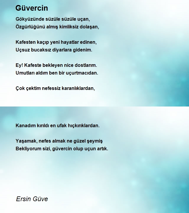 Ersin Güve