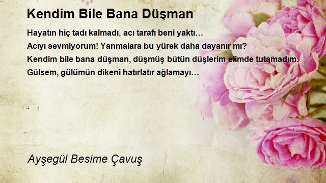 Ayşegül Besime Çavuş