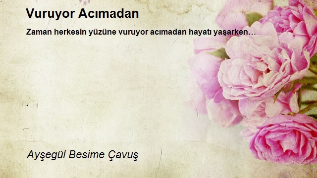 Ayşegül Besime Çavuş