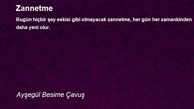 Ayşegül Besime Çavuş