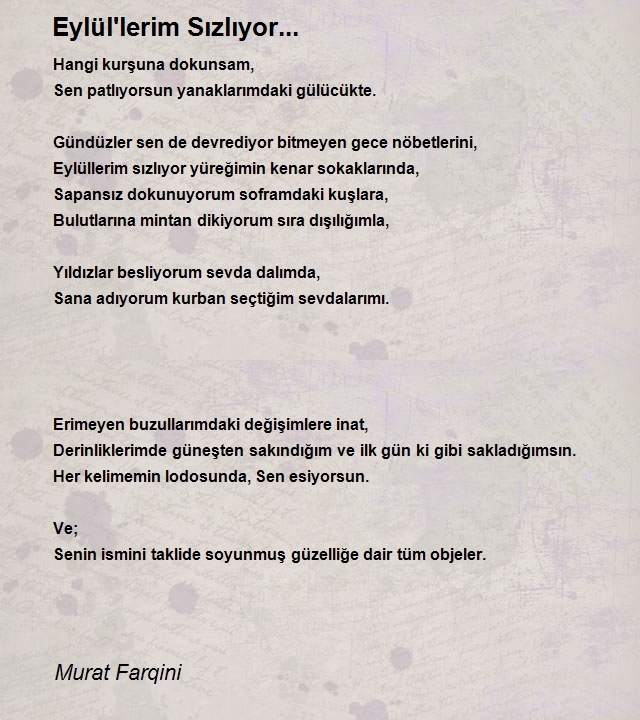 Murat Farqini