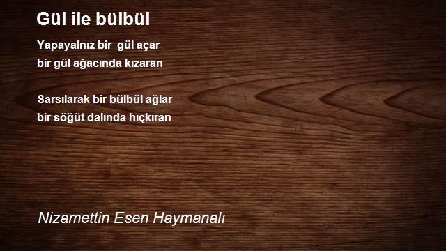 Nizamettin Esen Haymanalı