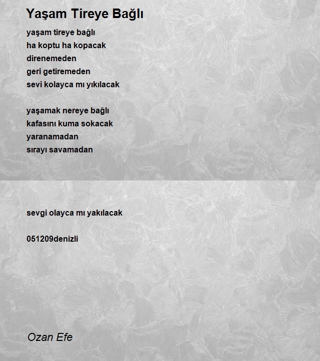 Ozan Efe