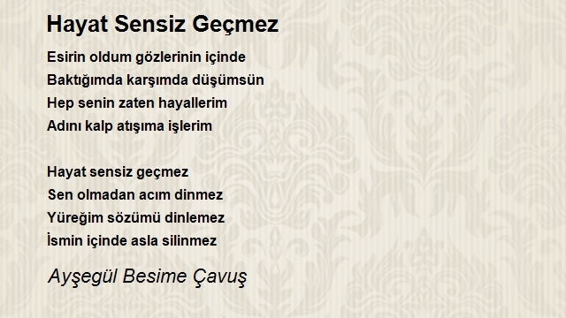 Ayşegül Besime Çavuş