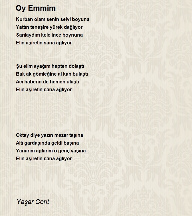 Yaşar Cerit