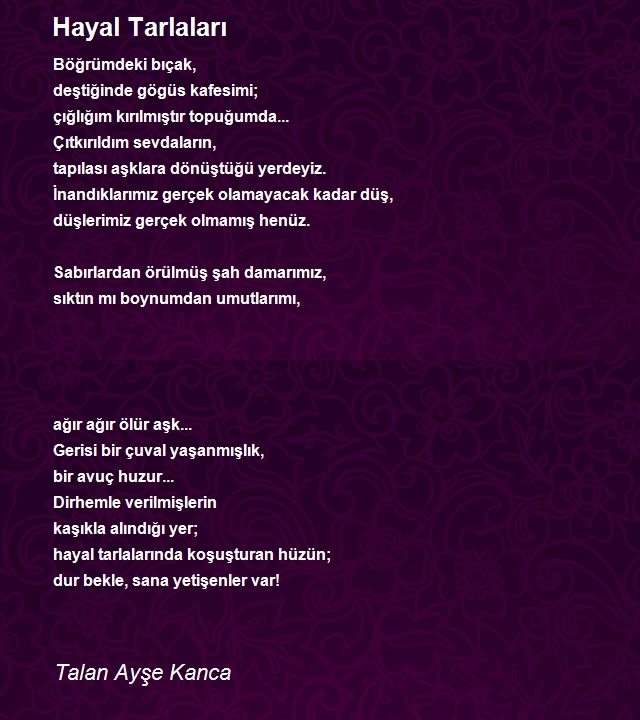 Talan Ayşe Kanca