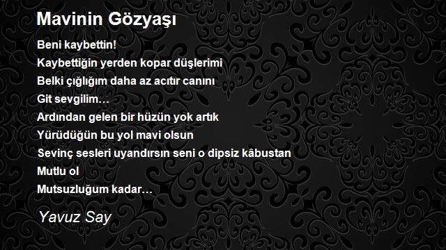 Yavuz Say