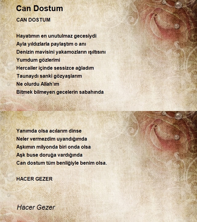 Hacer Gezer