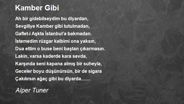 Alper Tuner