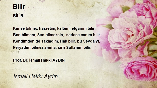 İsmail Hakkı Aydın