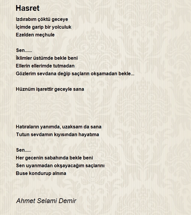 Ahmet Selami Demir