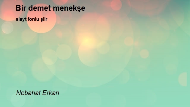 Nebahat Erkan