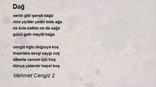 Mehmet Cengiz 2