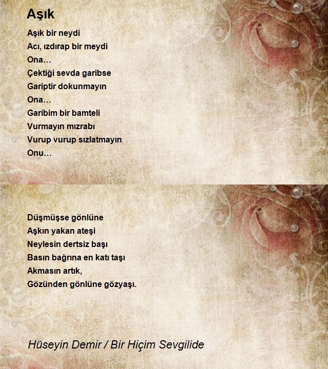 Hüseyin Demir / Bir Hiçim Sevgilide