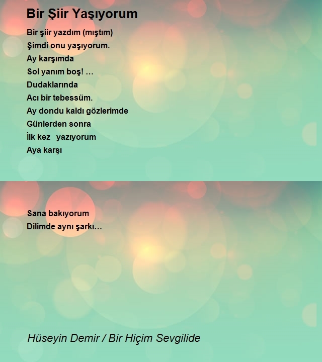 Hüseyin Demir / Bir Hiçim Sevgilide