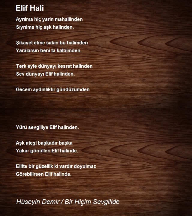 Hüseyin Demir / Bir Hiçim Sevgilide