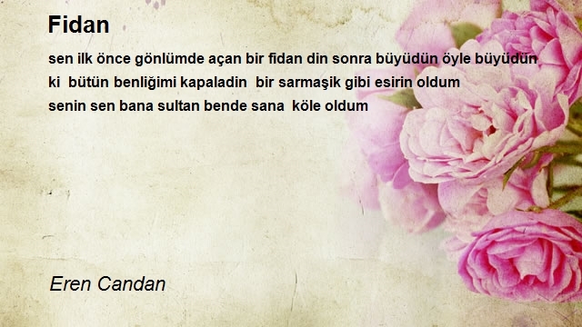 Eren Candan