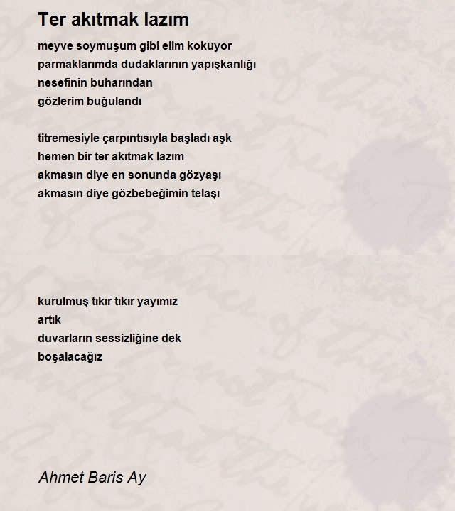 Ahmet Baris Ay