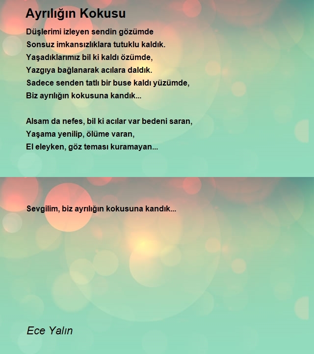 Ece Yalın