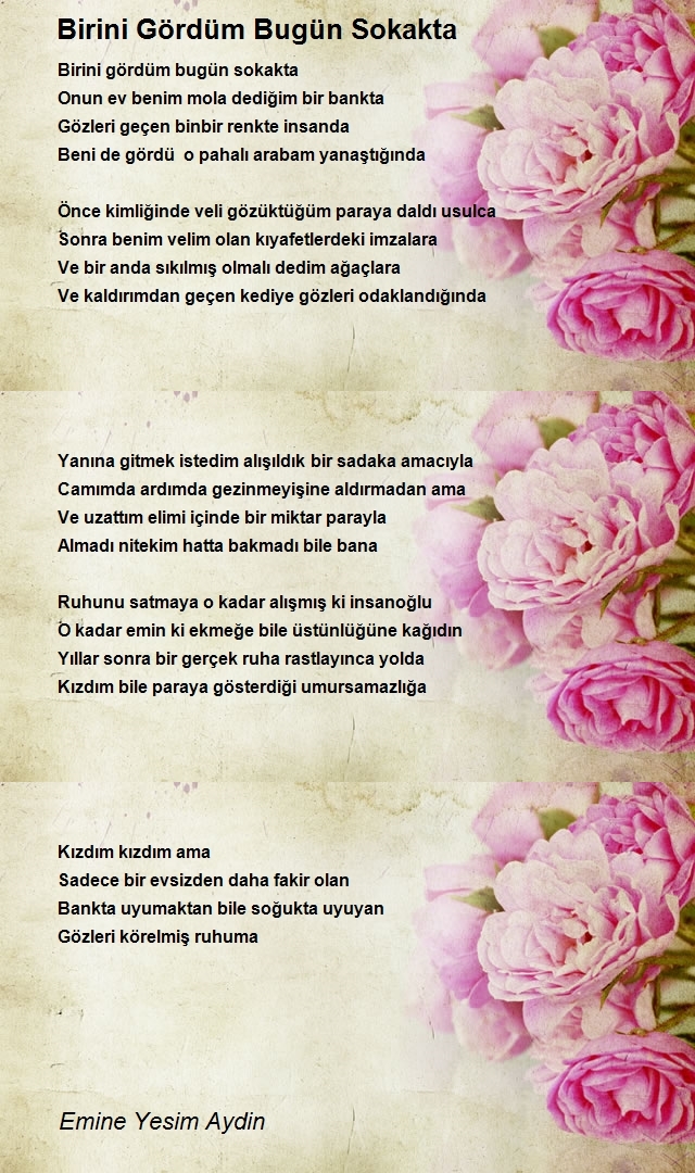 Emine Yesim Aydin