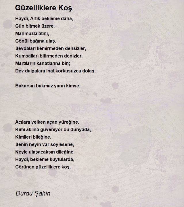 Durdu Şahin