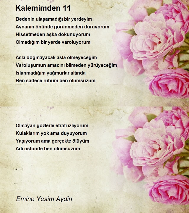 Emine Yesim Aydin