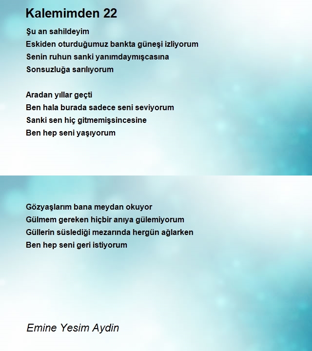 Emine Yesim Aydin