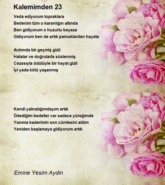 Emine Yesim Aydin