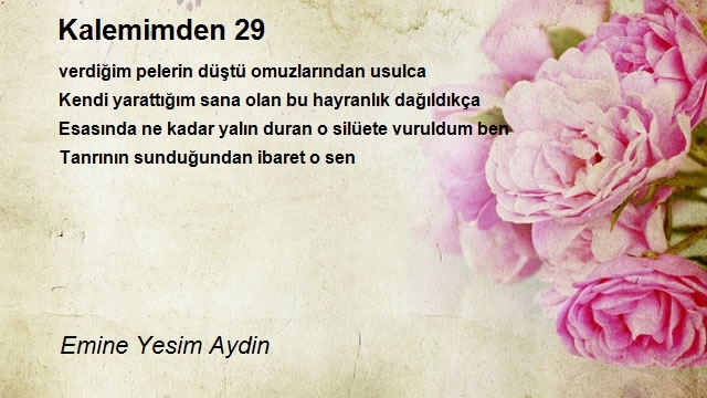 Emine Yesim Aydin