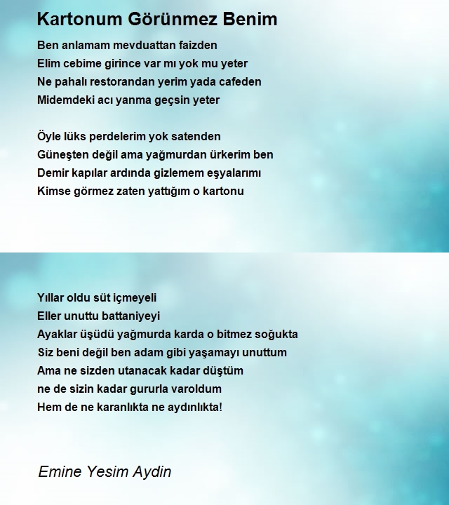 Emine Yesim Aydin