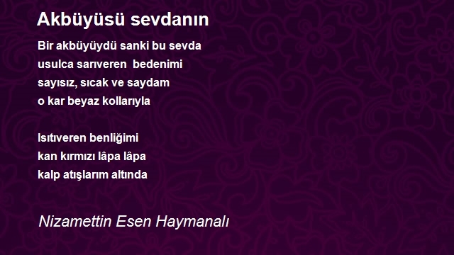 Nizamettin Esen Haymanalı