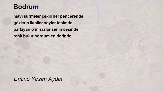 Emine Yesim Aydin