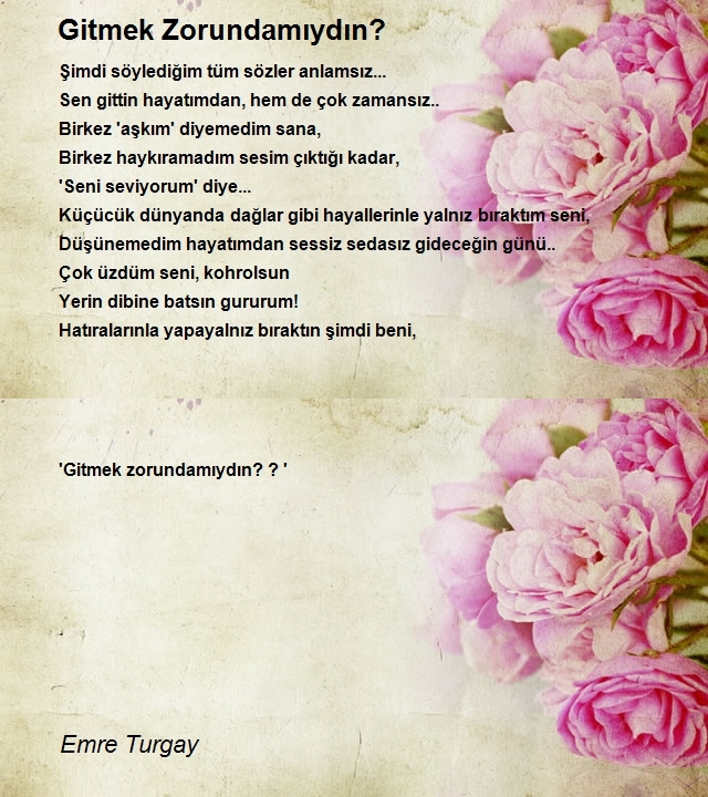 Emre Turgay