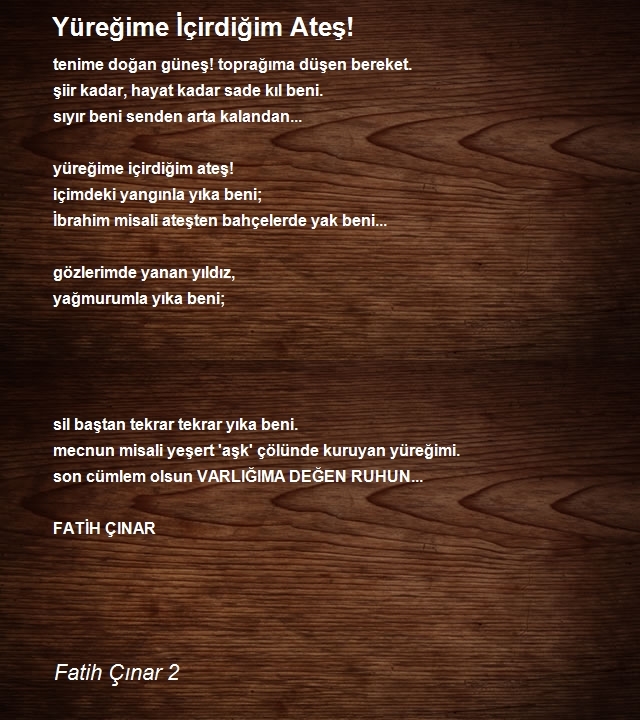 Fatih Çınar 2