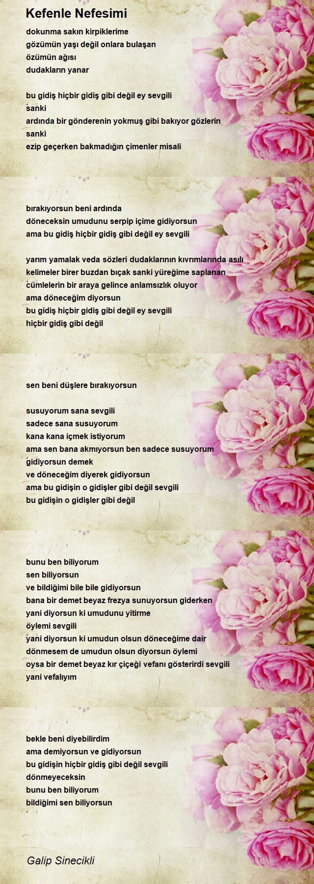 Galip Sinecikli