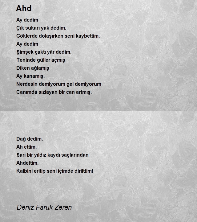 Deniz Faruk Zeren