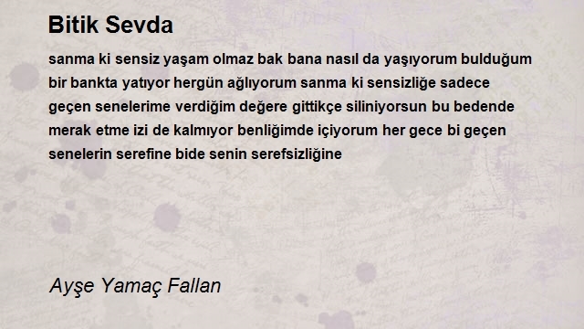 Ayşe Yamaç Fallan