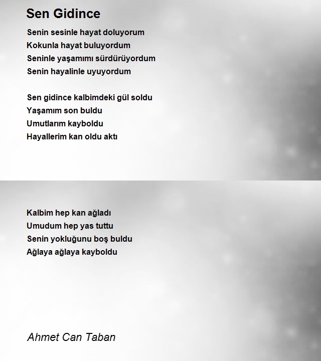 Ahmet Can Taban