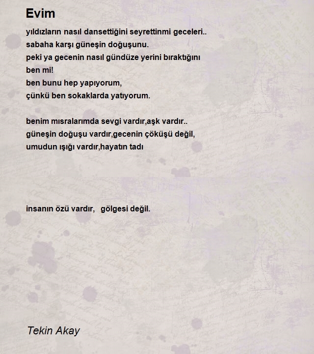 Tekin Akay