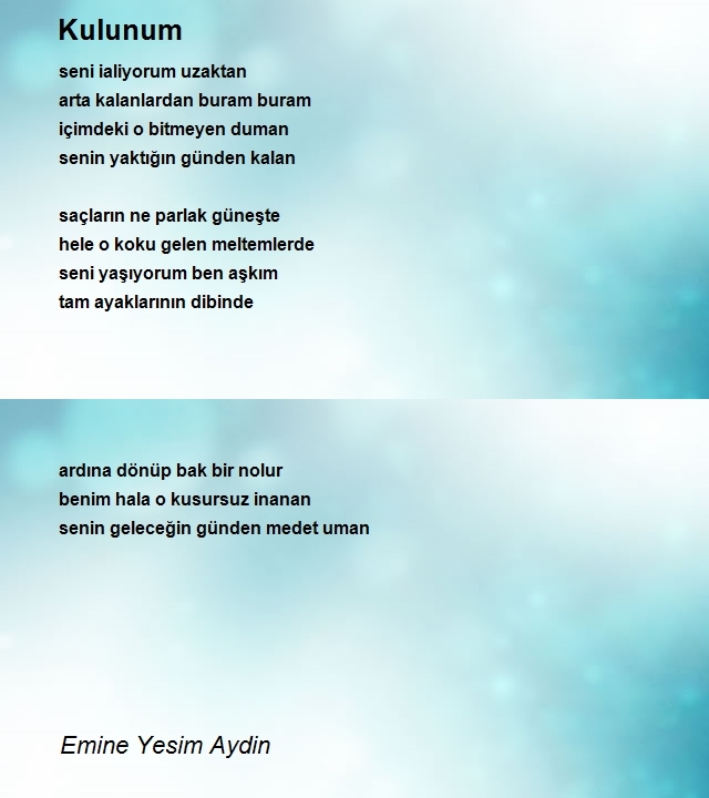 Emine Yesim Aydin